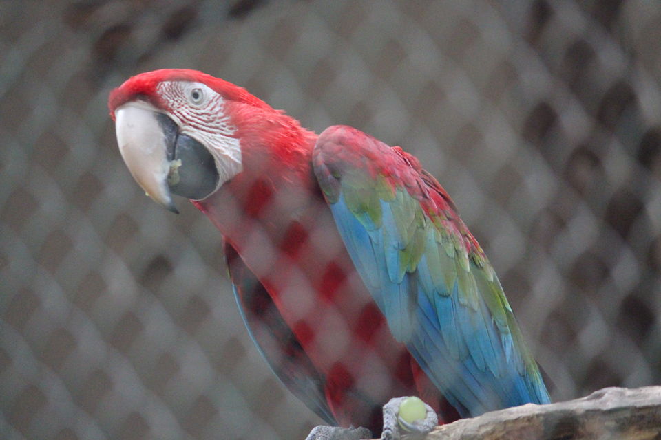 Photo of Bannerghatta Biological Park, Bengaluru by Prashant Srivastava
