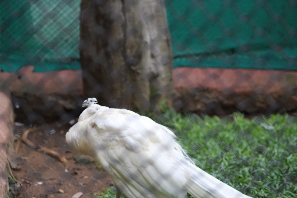 Photo of Bannerghatta Biological Park, Bengaluru by Prashant Srivastava