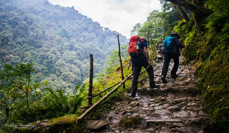 Photo of Goecha La - A Life Changing Trek To The Mighty Himalayas by Debarup Mukherjee