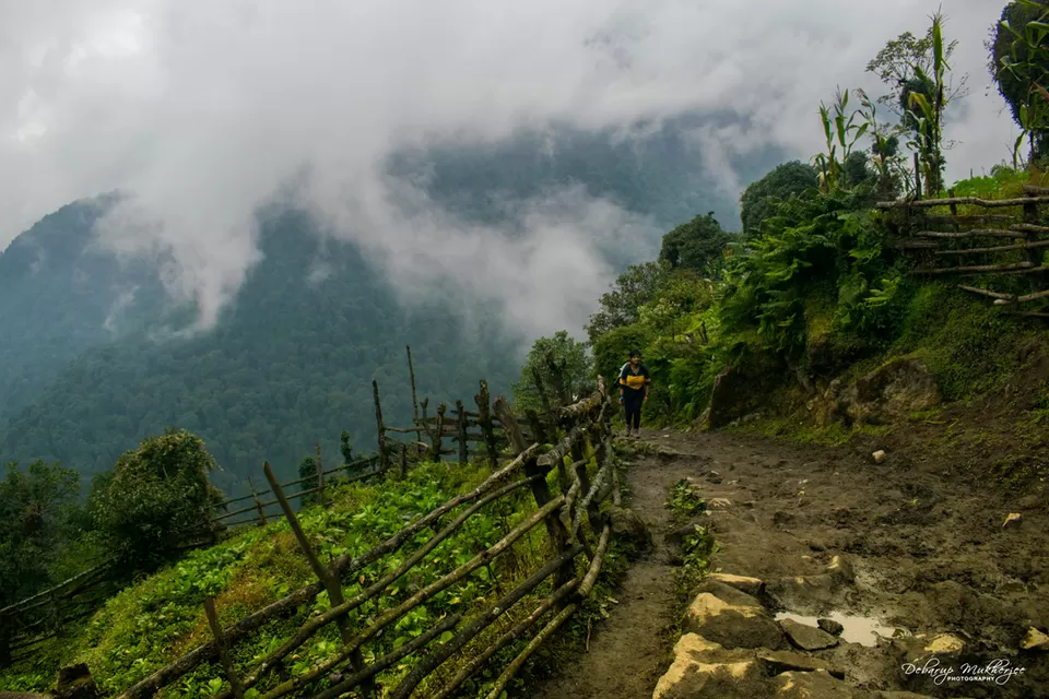 Photo of Goecha La - A Life Changing Trek To The Mighty Himalayas by Debarup Mukherjee