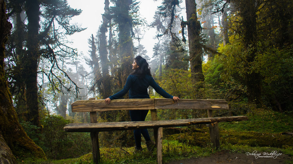 Photo of Goecha La - A Life Changing Trek To The Mighty Himalayas by Debarup Mukherjee (www.topfivebuzz.com)