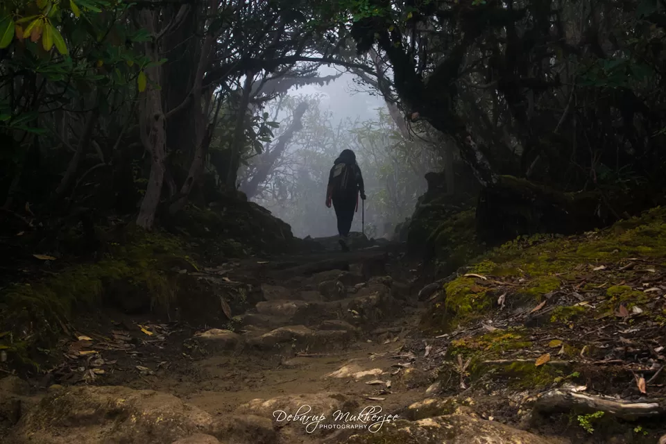 Photo of Goecha La - A Life Changing Trek To The Mighty Himalayas by Debarup Mukherjee