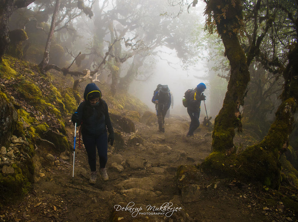 Photo of Goecha La - A Life Changing Trek To The Mighty Himalayas by Debarup Mukherjee (www.topfivebuzz.com)
