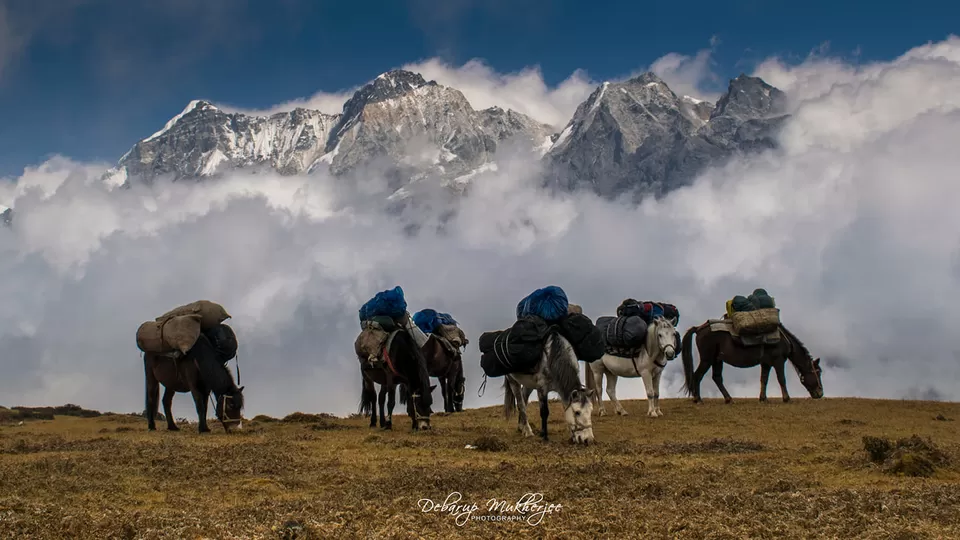 Photo of Goecha La - A Life Changing Trek To The Mighty Himalayas by Debarup Mukherjee