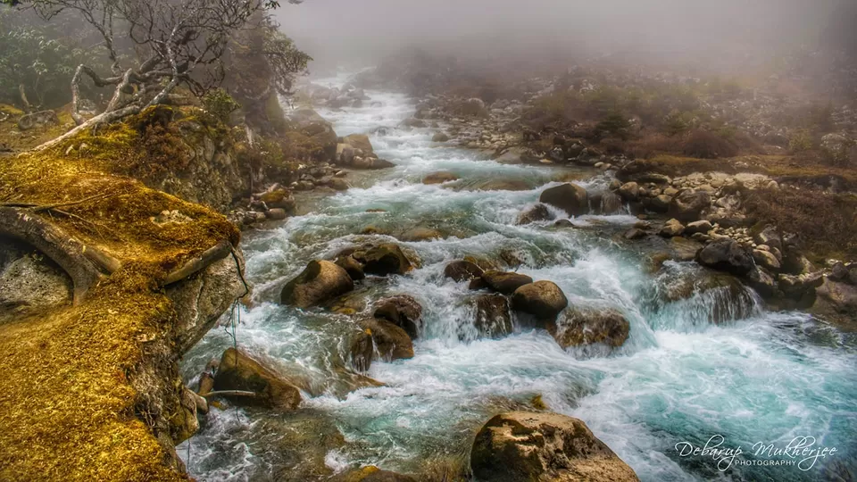 Photo of Goecha La - A Life Changing Trek To The Mighty Himalayas by Debarup Mukherjee