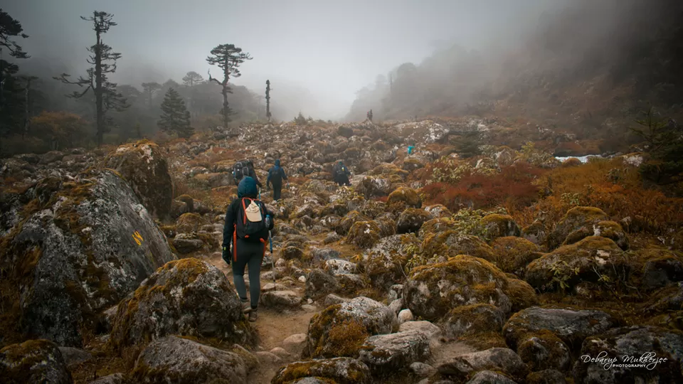Photo of Goecha La - A Life Changing Trek To The Mighty Himalayas by Debarup Mukherjee