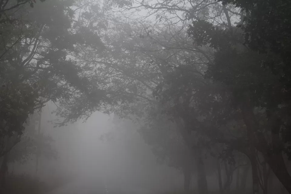 Photo of Amrabad, Telangana, India by Sadgur Goutham