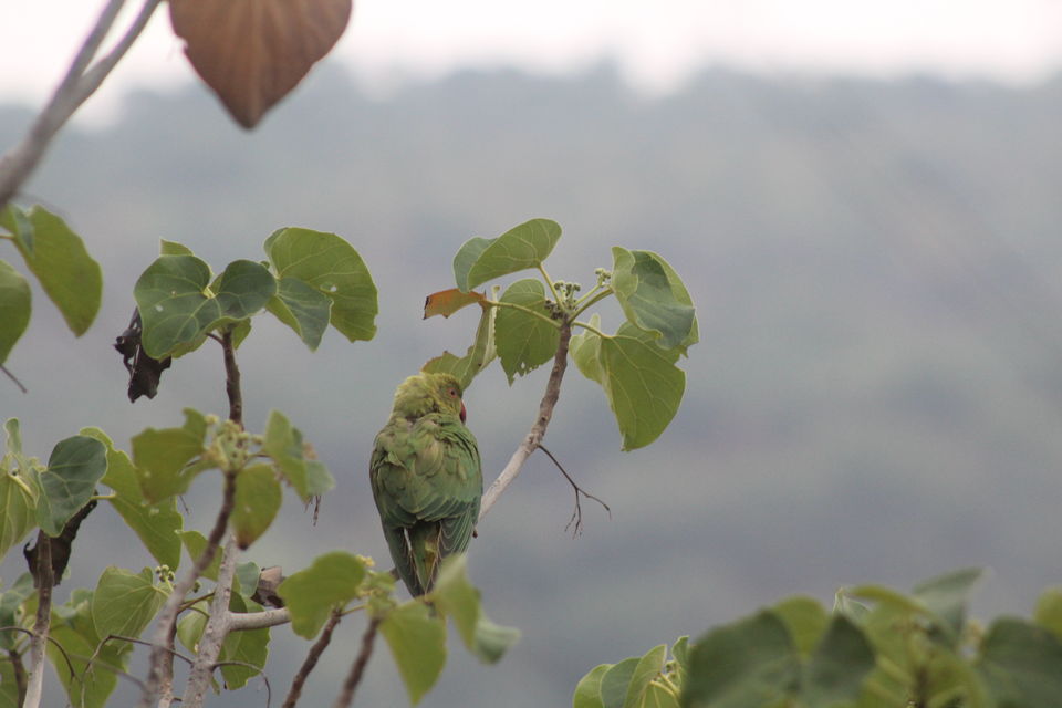 Photo of One day trip to SRISAILAM-The must have trip in December(winter) by Sadgur Goutham