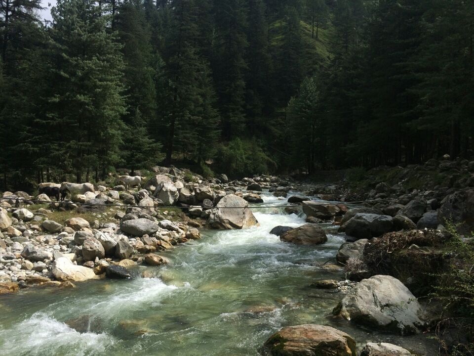Photo of Backpacking in 'Tosh' - Himachal Pradesh by Yuvraj Chaudhary