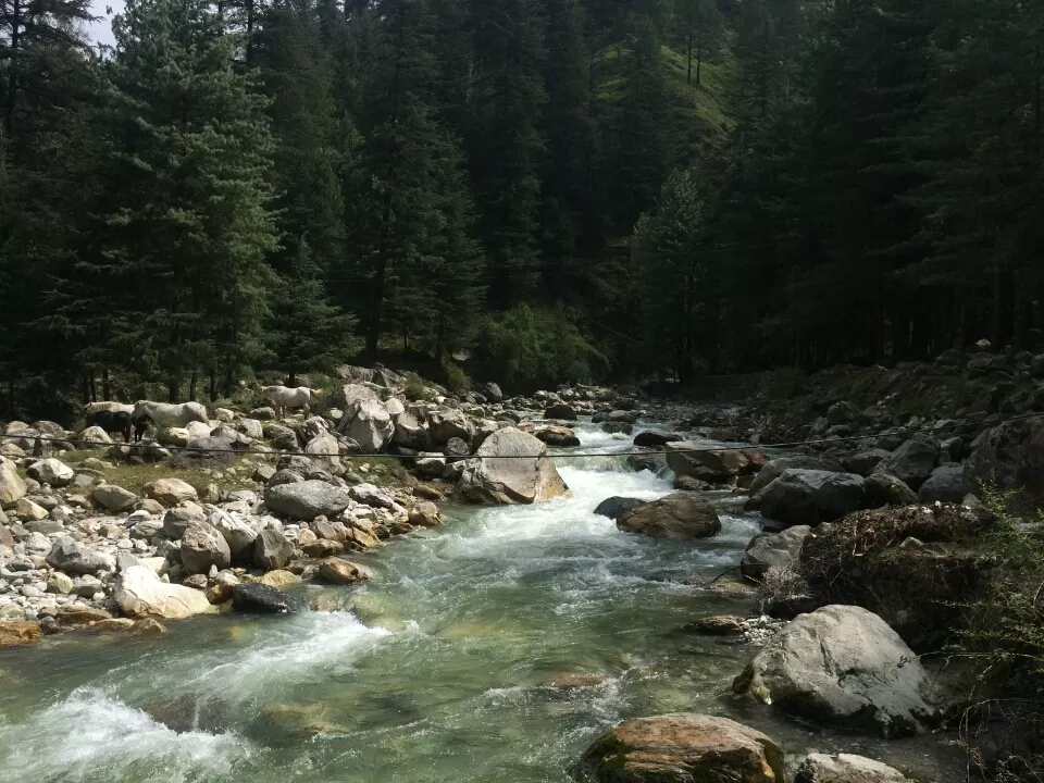 Photo of Backpacking in 'Tosh' - Himachal Pradesh by Yuvraj Chaudhary