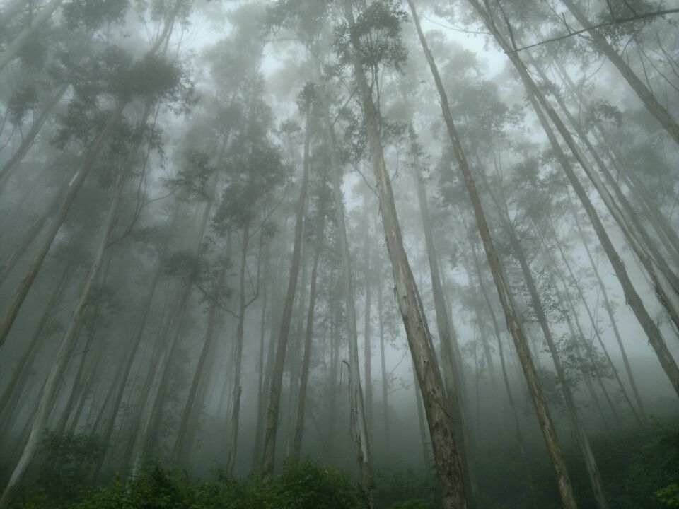 Photo of Alexithymia: story of a night ride by abhinav krishnan