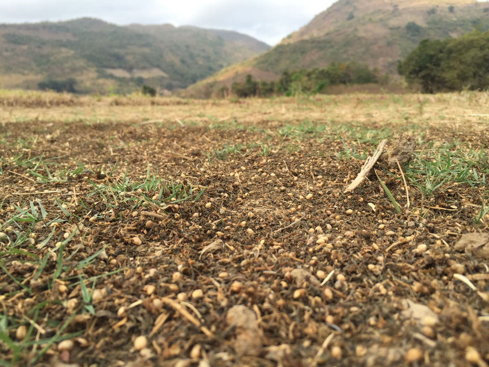 Photo of 7000 Kms Of Craziness. Part 1 - The Mysterious Tribal Village. by crazy_wanderer