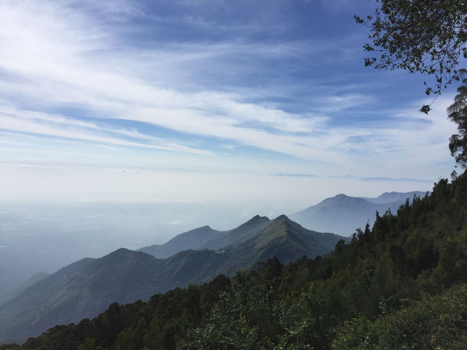 Photo of Mother Nature's Healing For A Disturbed Soul. Shrooms And Kodai Hills by crazy_wanderer
