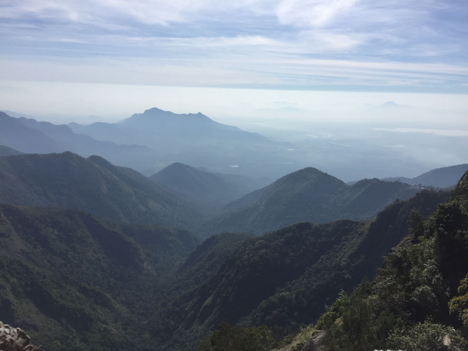 Photo of Mother Nature's Healing For A Disturbed Soul. Shrooms And Kodai Hills by crazy_wanderer