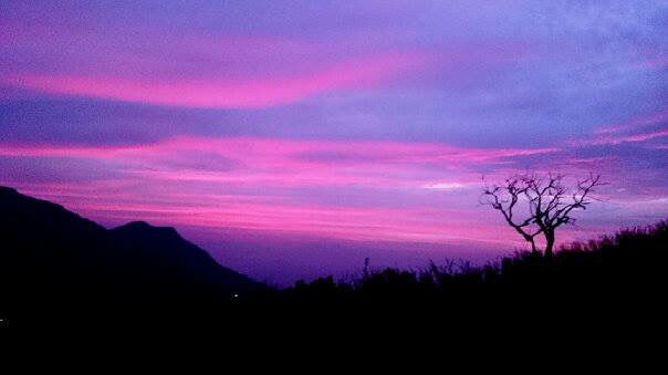 Photo of Mother Nature's Healing For A Disturbed Soul. Shrooms And Kodai Hills by crazy_wanderer