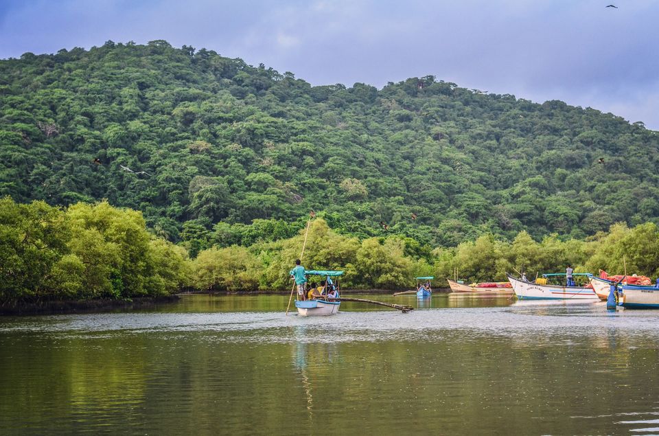 Photo of Palolem Beach, Goa, India by Sayantan Roy Chowdhury