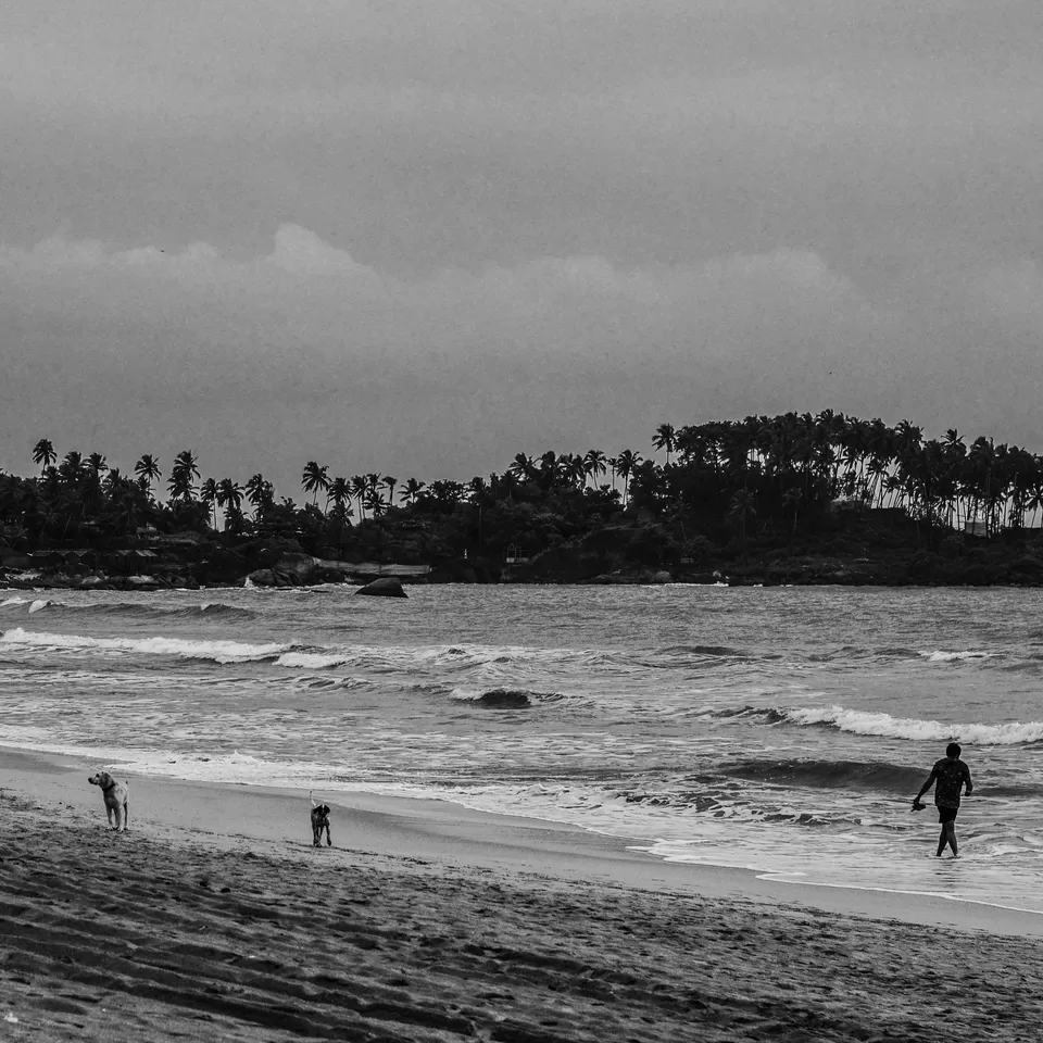 Photo of Palolem Beach, Goa, India by Sayantan Roy Chowdhury