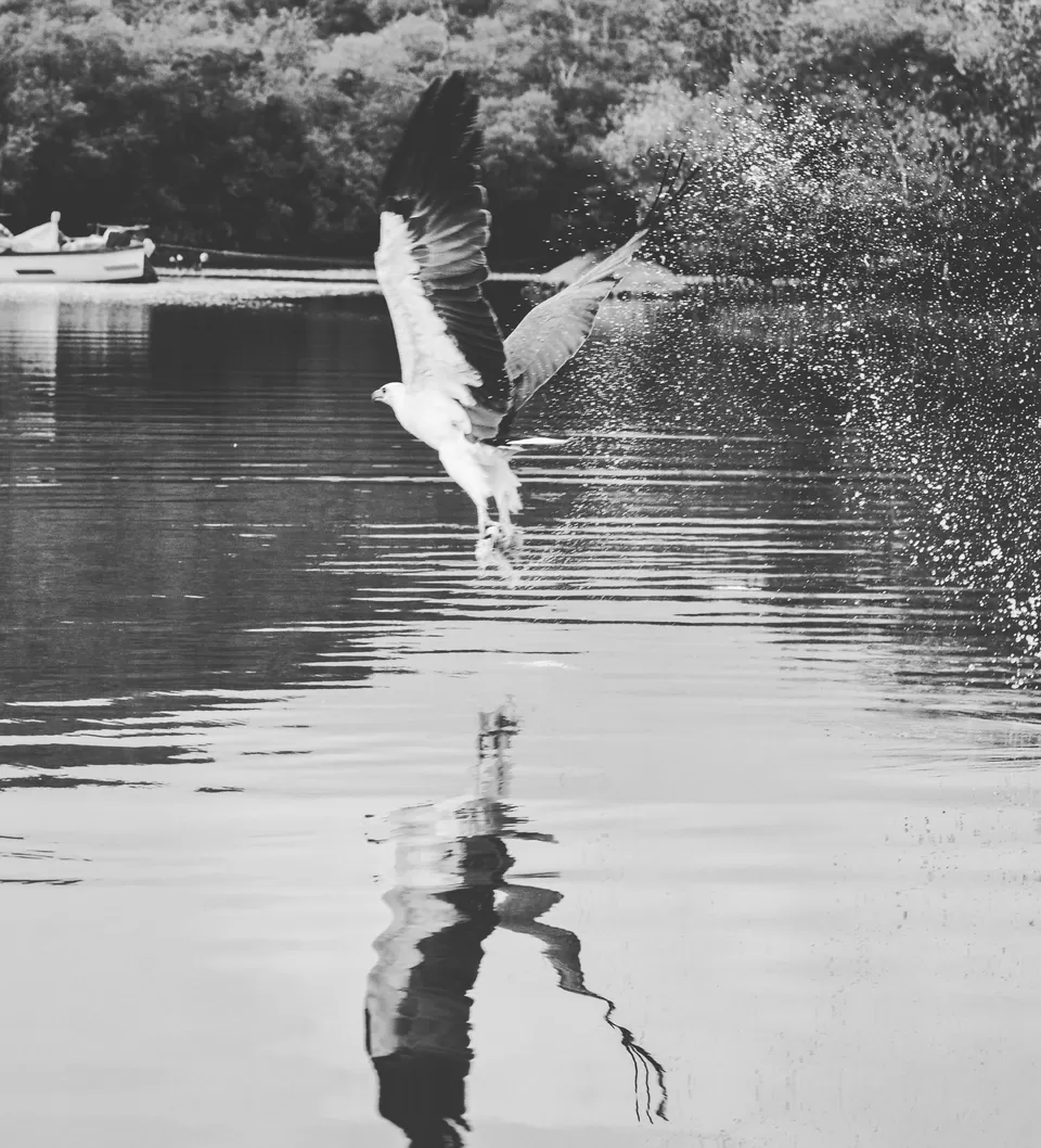 Photo of Palolem, Canacona, Goa, India by Sayantan Roy Chowdhury