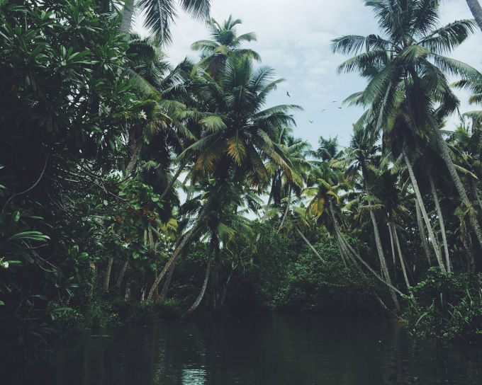 Photo of Ironically, sailed ahead in Backwaters. by cigarettegreys