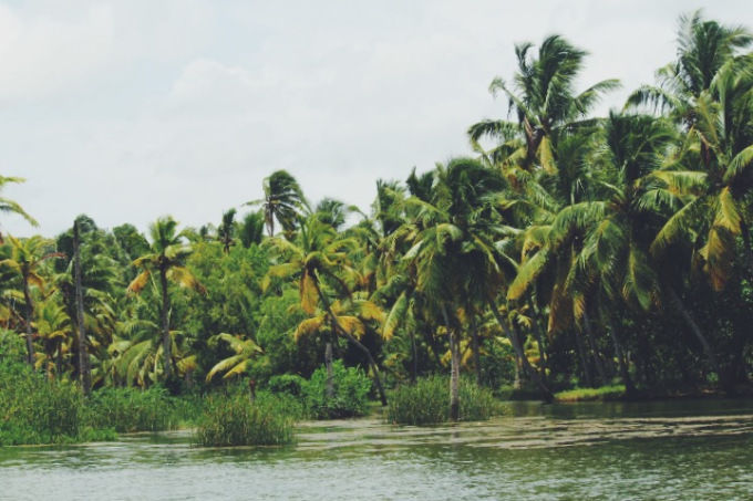 Photo of Ironically, sailed ahead in Backwaters. by cigarettegreys