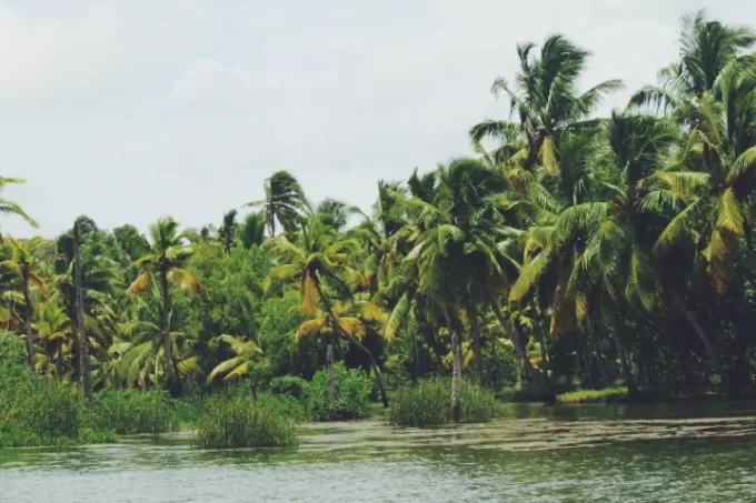 Photo of Ironically, sailed ahead in Backwaters. by cigarettegreys