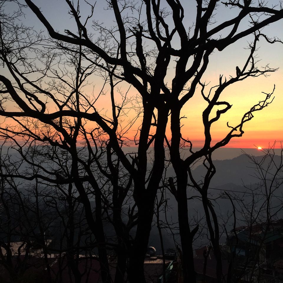 Photo of Christ Church Shimla, Mall Road, Lakkar Bazar, Shimla, Himachal Pradesh, India by Travel Tale With Wanderess