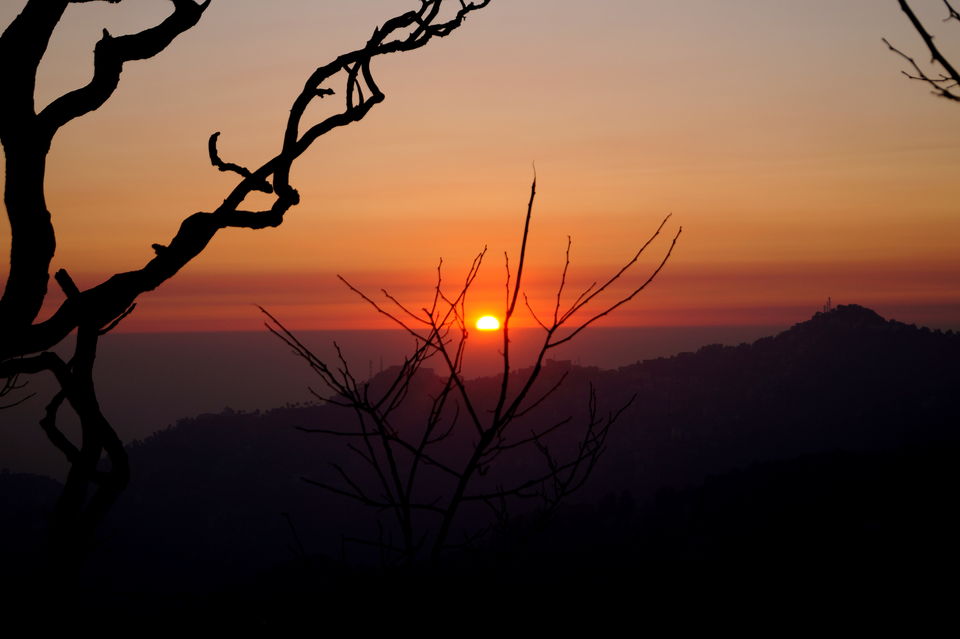 Photo of Lakkar Bazar, Shimla, Himachal Pradesh, India by Travel Tale With Wanderess