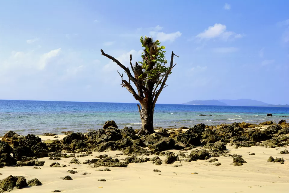 Photo of Elephant Beach, South Andaman, Andaman and Nicobar Islands, India by Travel Tale With Wanderess