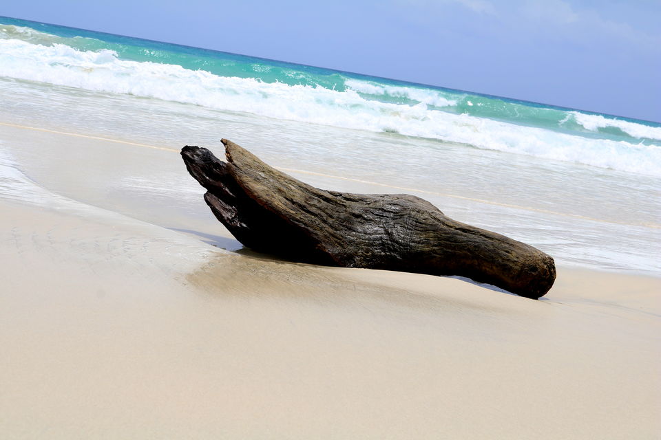 Photo of Radhanagar Beach, Andaman and Nicobar Islands, India by Travel Tale With Wanderess