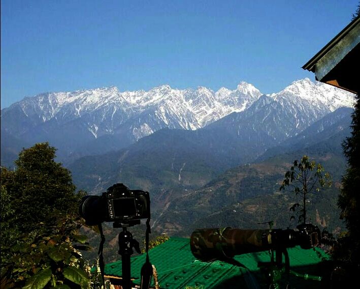 Photo of Mystical Borong at Wild Flower Sikkim. by Himadri Mondal