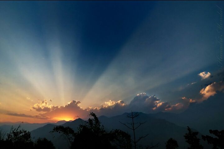 Photo of Mystical Borong at Wild Flower Sikkim. by Himadri Mondal