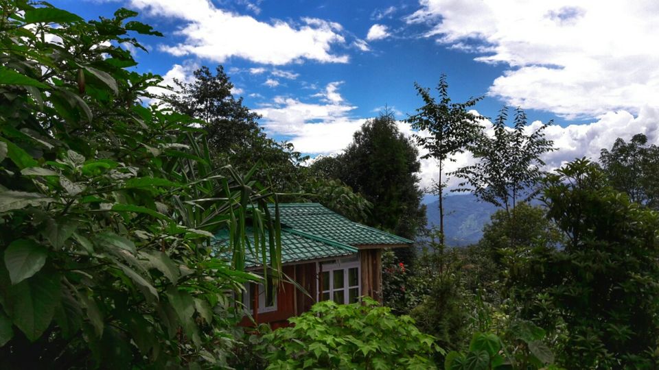 Photo of Mystical Borong at Wild Flower Sikkim. by Himadri Mondal