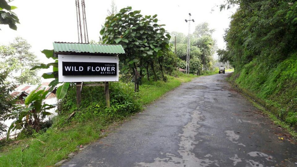 Photo of Mystical Borong at Wild Flower Sikkim. by Himadri Mondal