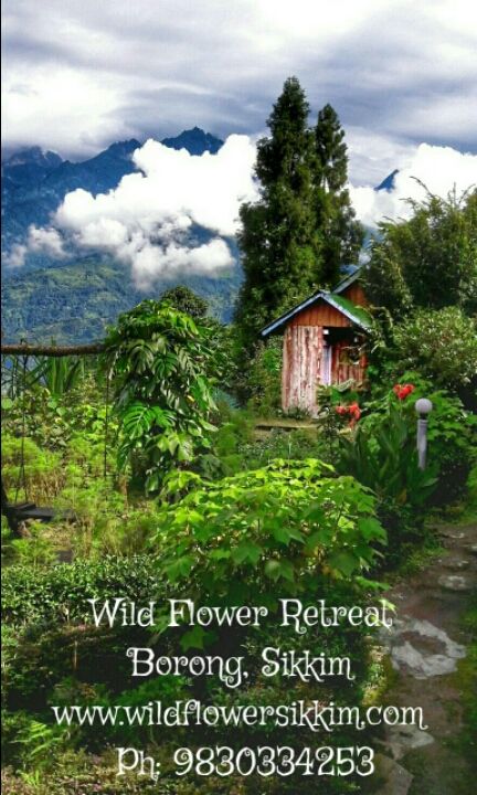 Photo of Mystical Borong at Wild Flower Sikkim. by Himadri Mondal
