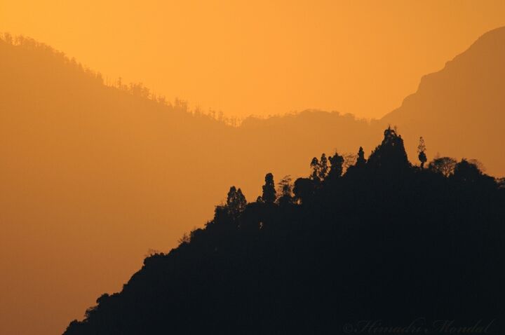 Photo of Mystical Borong at Wild Flower Sikkim. by Himadri Mondal