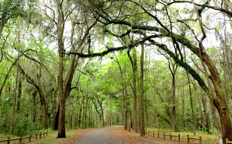 Photo of 5 Great Camping & Hiking Sites In Georgia 1/1 by Robert Walsh