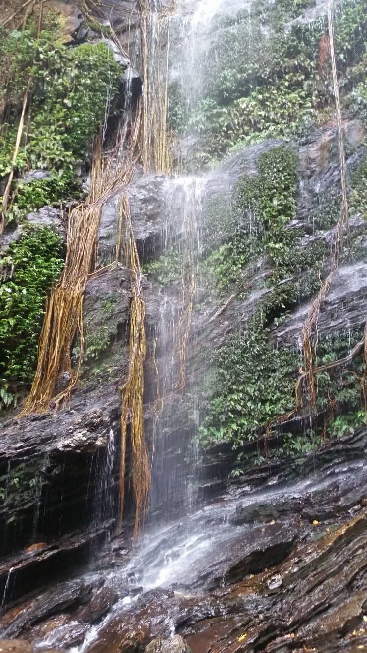 Photo of Captivating Kodachadri!! 5/14 by Harsha Vardhana Achar