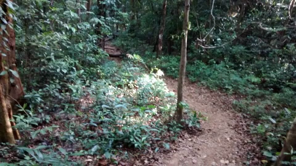 Photo of Salvation at Kumara Parvatha!! 12/19 by Harsha Vardhana Achar