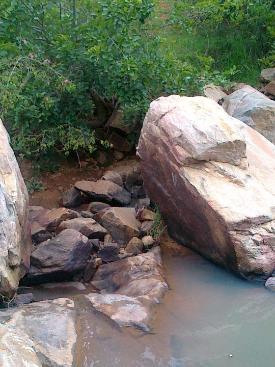 Photo of Kethenahalli: Green in the Barrens 6/9 by Harsha Vardhana Achar