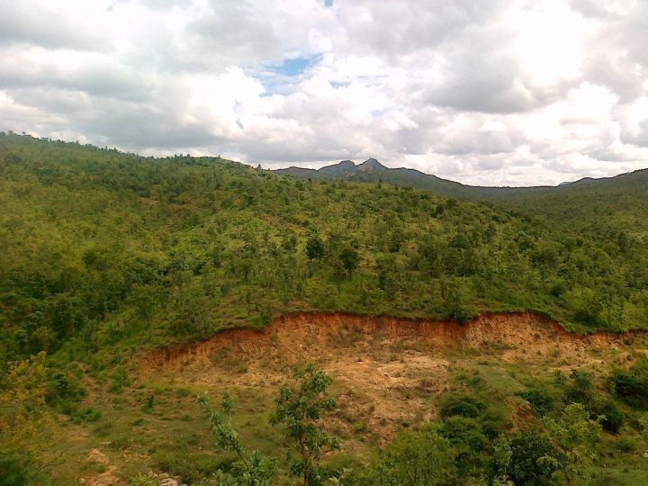 Photo of Kethenahalli: Green in the Barrens 7/9 by Harsha Vardhana Achar