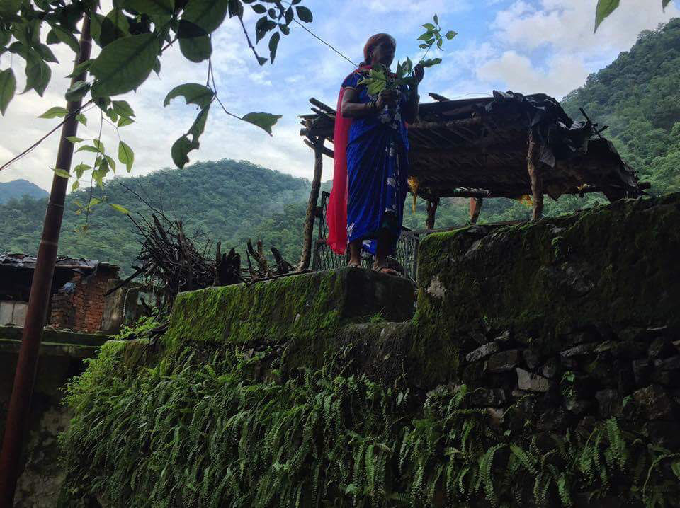 Photo of Dreams Of Himalayas: Good Things Take Time by Anna Shakhnazarova