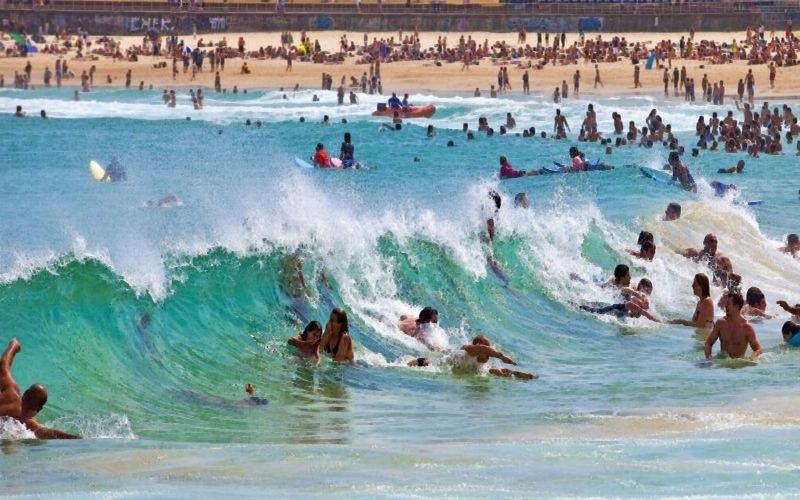 Photo of 5 Must Do's in Sydney! 1/5 by Jay Vardhan Sharan