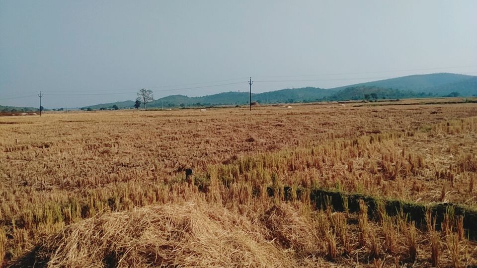 Photo of Laknavaram Forest, Kothagudem, Telangana, India by Mehul