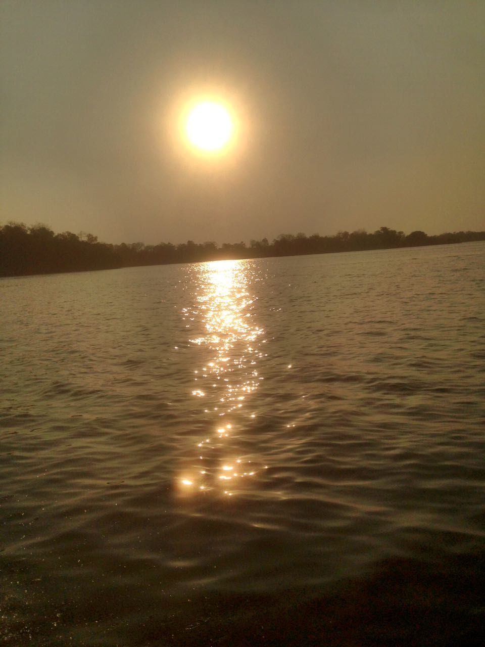 Photo of Laknavaram Forest, Kothagudem, Telangana, India by Mehul