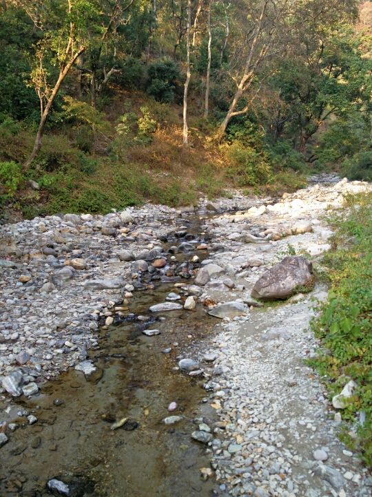 Photo of Corbett – In the tiger's backyard 10/26 by Akshay Rajagopalan 