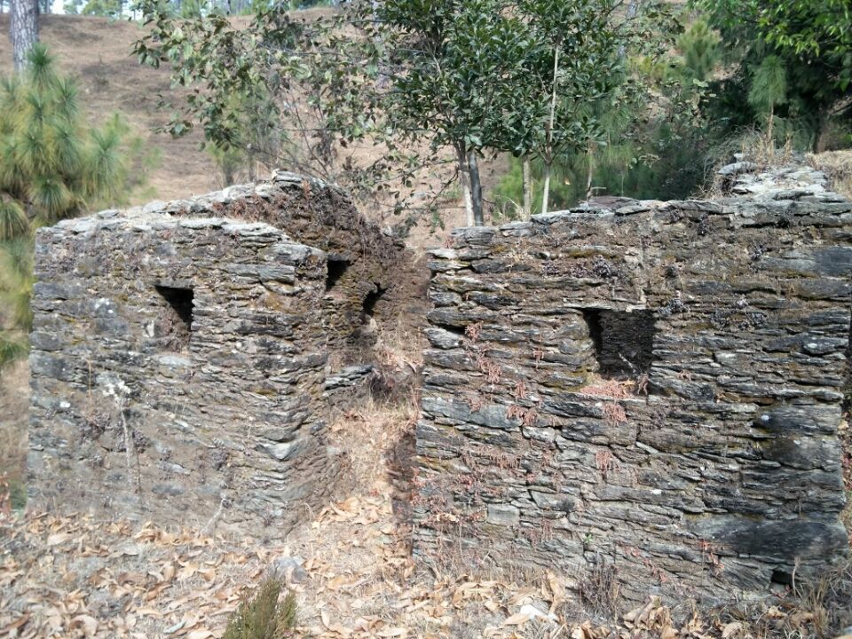 Photo of Ranikhet – In the lap of Kumaon's pine forests 12/27 by Akshay Rajagopalan 