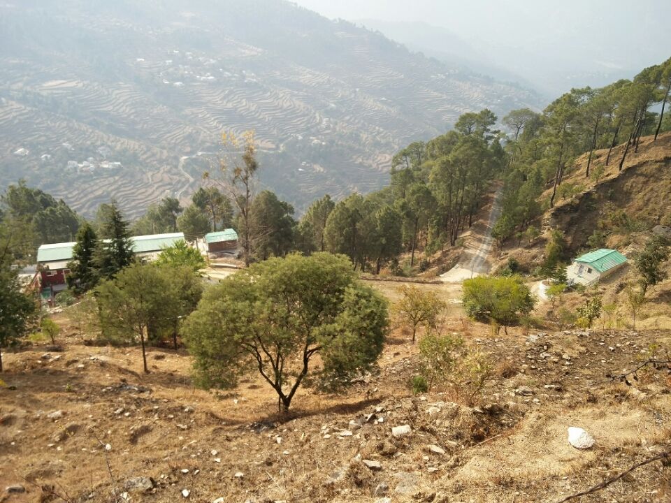 Photo of Ranikhet – In the lap of Kumaon's pine forests 20/27 by Akshay Rajagopalan 