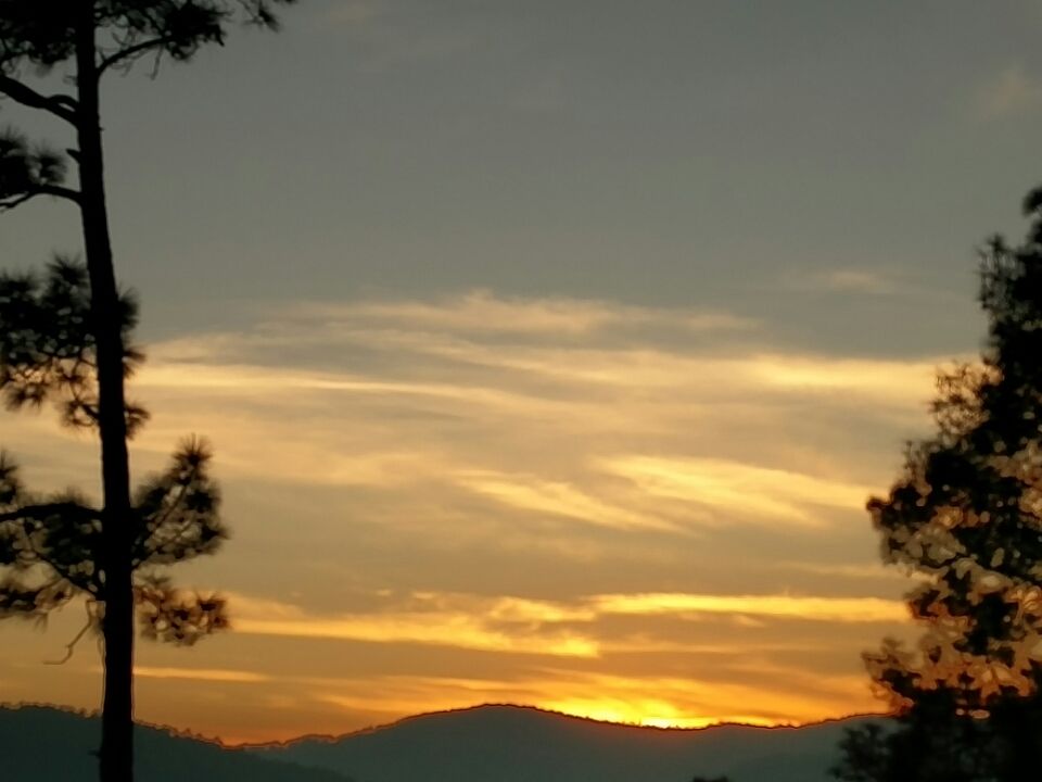 Photo of Ranikhet – In the lap of Kumaon's pine forests 23/27 by Akshay Rajagopalan 