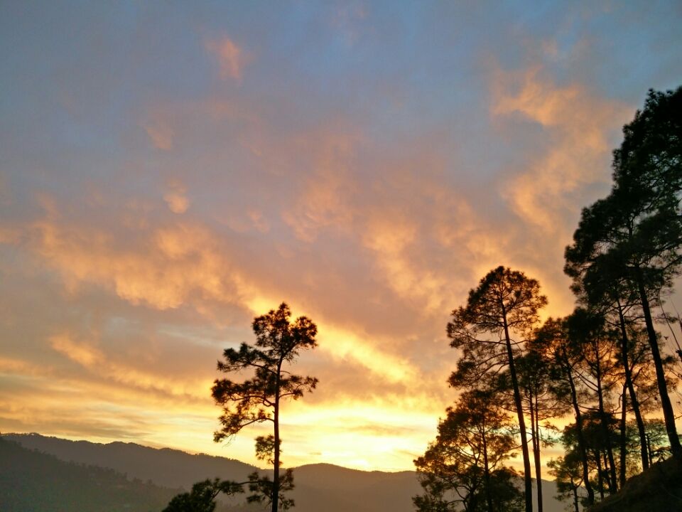 Photo of Ranikhet – In the lap of Kumaon's pine forests 24/27 by Akshay Rajagopalan 