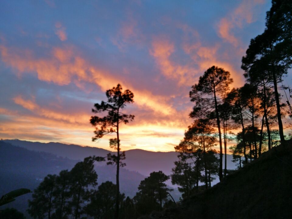 Photo of Ranikhet – In the lap of Kumaon's pine forests 25/27 by Akshay Rajagopalan 